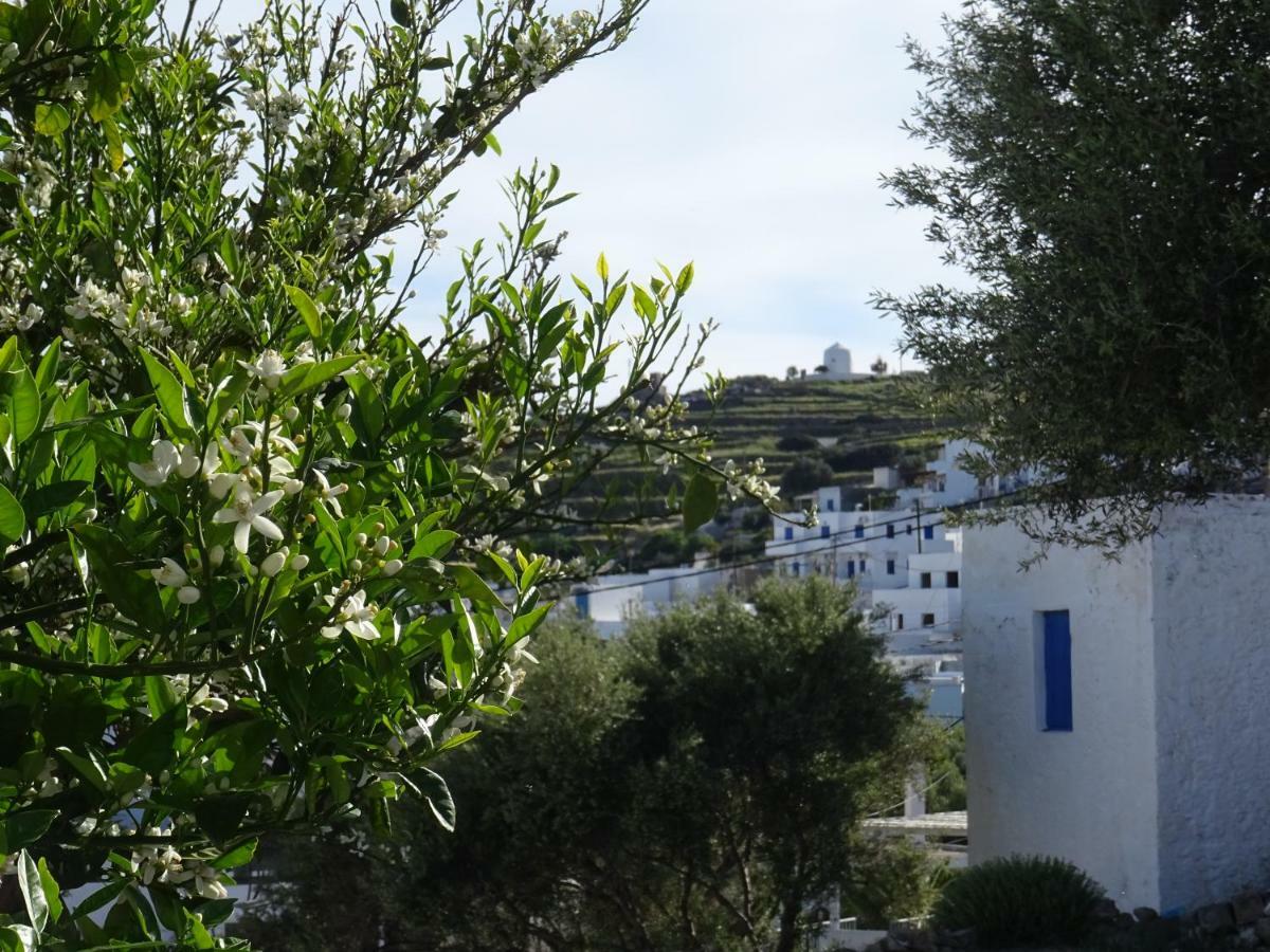 Апартаменты Matilda Milos - Cycladic Living Triovasalos Экстерьер фото
