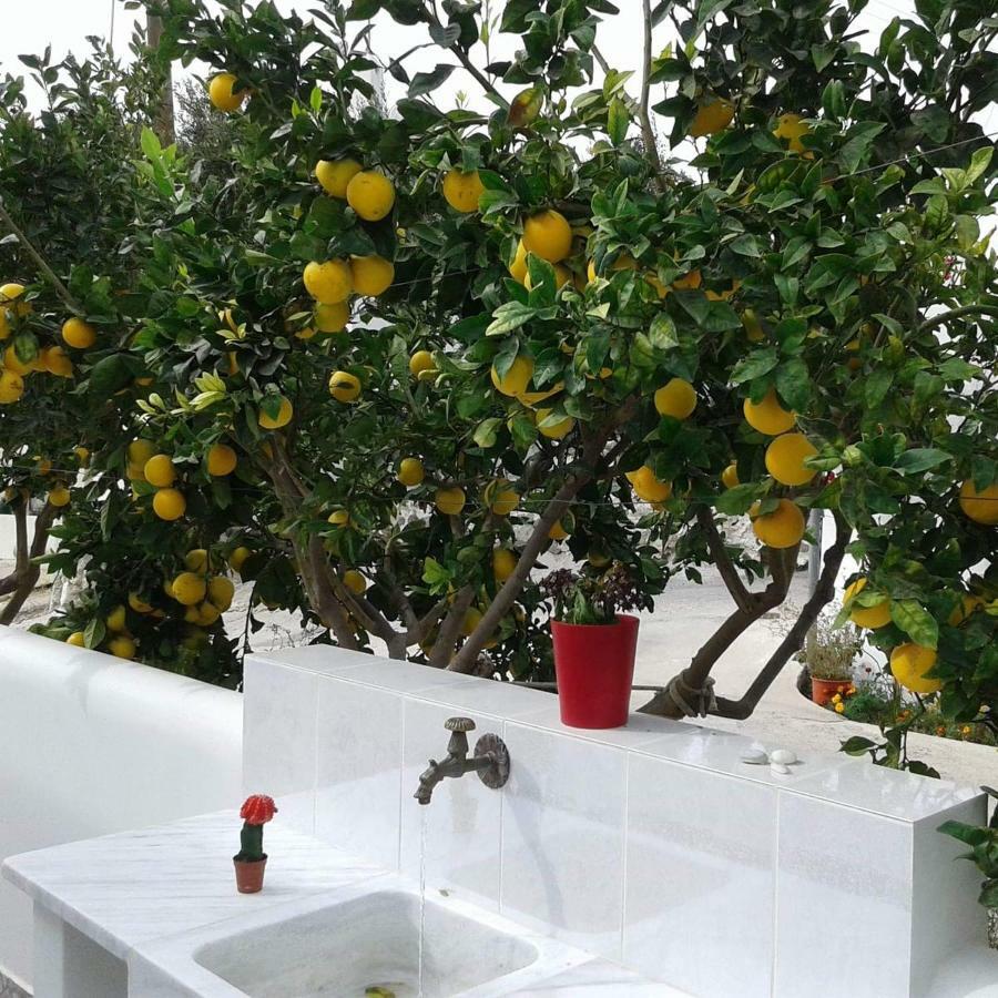 Апартаменты Matilda Milos - Cycladic Living Triovasalos Экстерьер фото
